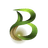 BION Logo