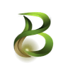 BION Logo
